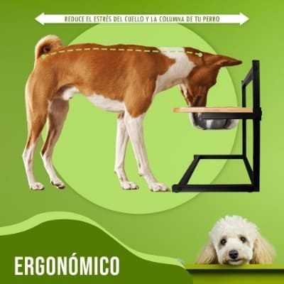 comedero ergonomico-400x400 (1)